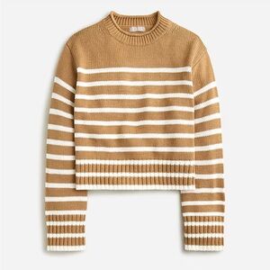 J. Crew Rollneck Sweater in Stripe